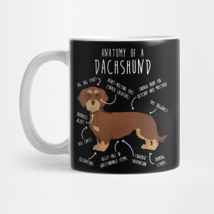 Red Wirehaired Dachshund Dog Anatomy Mug